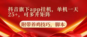 抖音旗下app自动挂机，单机一天收益25+，可多开矩阵-副业淘金网