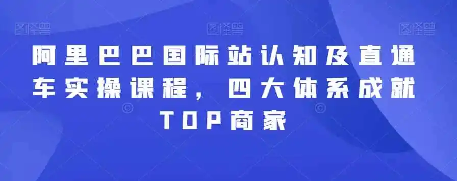 阿里巴巴国际站认知及直通车实操课程，四大体系成就TOP商家-副业淘金网