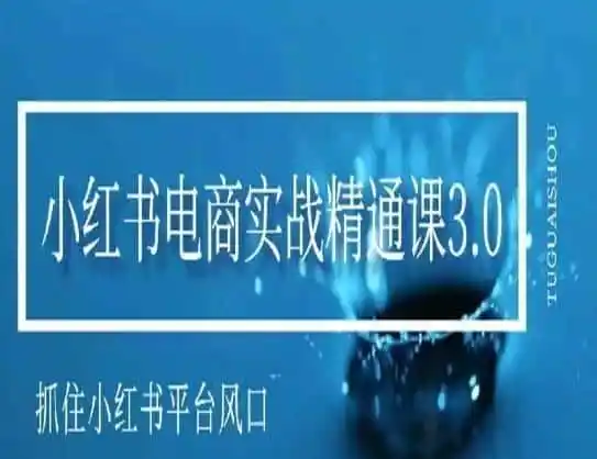 小红书电商实战精通课3.0，抓住小红书平台的风口，不错过有一个赚钱的机会-副业淘金网