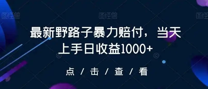 最新野路子暴力赔付，当天上手日收益1000+【仅揭秘】-副业淘金网