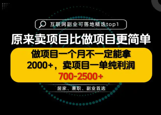 一单利润700-2.5K+，为什么我们要卖项目而不是做项目，我们普通人应该怎样开始？【揭秘】-副业淘金网