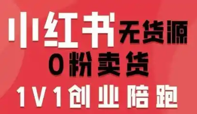 小红书无货源0粉电商课，开店准备、选品策略、笔记撰写、视频剪辑、数据分析、账号打造、资料文档(更新26年8月30日)-副业淘金网