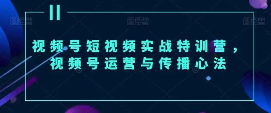 视频号短视频实战特训营，视频号运营与传播心法-副业淘金网