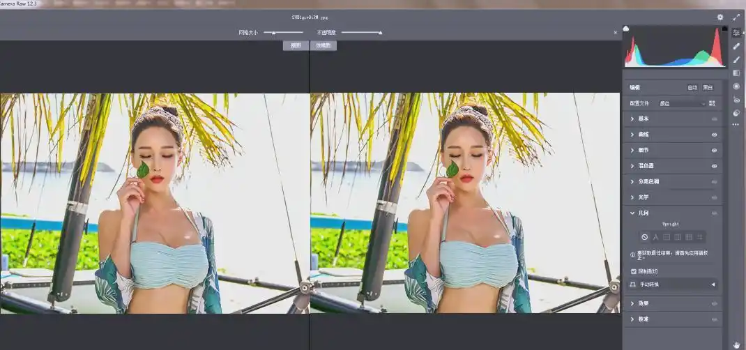 RAW处理Adobe Camera Raw v18.6.0中文版-副业淘金网